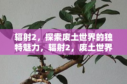 辐射2,探索废土世界的独特魅力,辐射2,废土世界的独特魅力探索之旅 辐射2,探索废土世界的独特魅力,辐射2,废土世界的独特魅力探索之旅