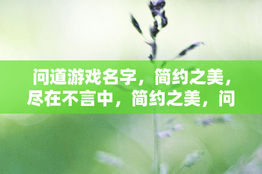 问道游戏名字,简约之美,尽在不言中,简约之美,问道游戏名字,尽在不言中 问道游戏名字,简约之美,尽在不言中,简约之美,问道游戏名字,尽在不言中