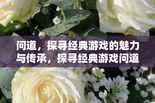 问道,探寻经典游戏的魅力与传承,探寻经典游戏问道的魅力与传承 问道,探寻经典游戏的魅力与传承,探寻经典游戏问道的魅力与传承