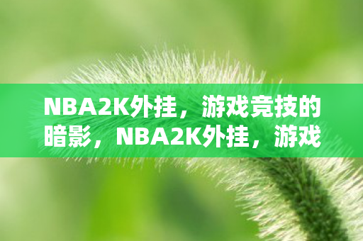 NBA2K外挂,游戏竞技的暗影,NBA2K外挂,游戏竞技的暗影 NBA2K外挂,游戏竞技的暗影,NBA2K外挂,游戏竞技的暗影