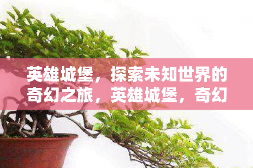 英雄城堡，探索未知世界的奇幻之旅，英雄城堡，奇幻之旅探索未知世界