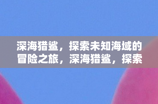 深海猎鲨，探索未知海域的冒险之旅，深海猎鲨，探索未知海域的惊险之旅