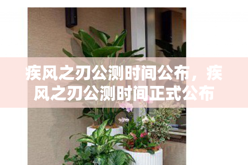 疾风之刃公测时间正式公布图片