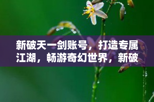 新破天一剑账号,打造专属江湖,畅游奇幻世界,新破天一剑,打造专属江湖,畅游奇幻世界 新破天一剑账号,打造专属江湖,畅游奇幻世界,新破天一剑,打造专属江湖,畅游奇幻世界