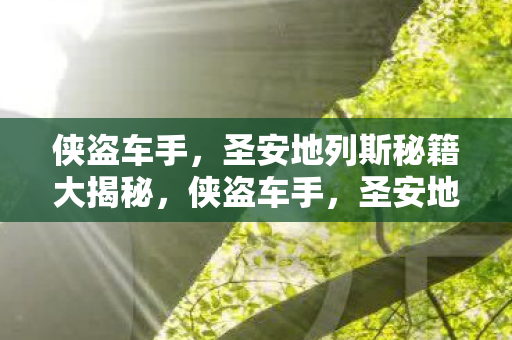 圣安地列斯秘籍大揭秘图片