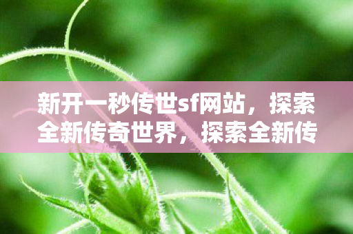 新开一秒传世sf网站图片