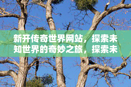 探索未知世界的奇妙之旅图片