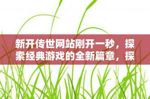 探索经典游戏的全新篇章图片