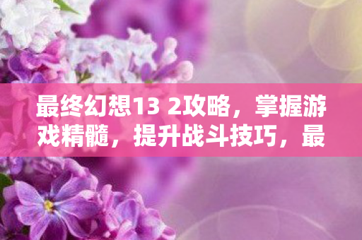 最终幻想13 2攻略图片