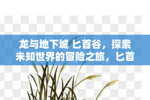 探索未知世界的冒险之旅图片
