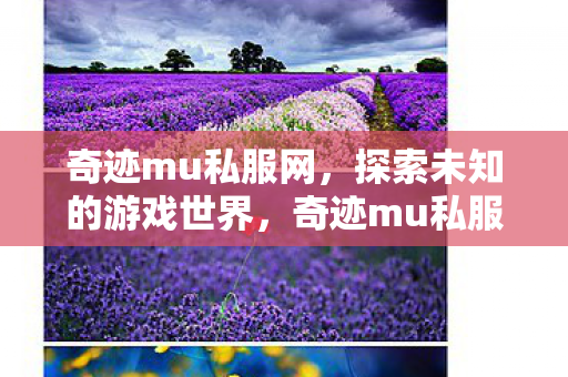 探索未知的游戏世界之旅图片