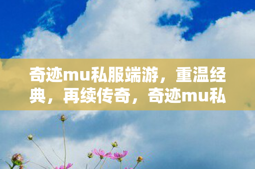 奇迹mu私服端游图片