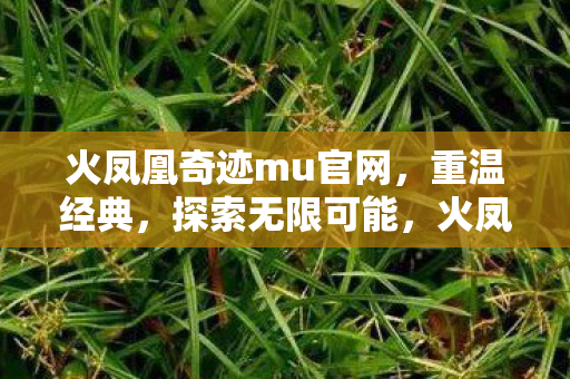 火凤凰奇迹mu官网图片