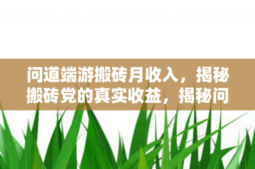 问道端游搬砖月收入，揭秘搬砖党的真实收益，揭秘问道端游搬砖党真实收益，月收入究竟有多少？