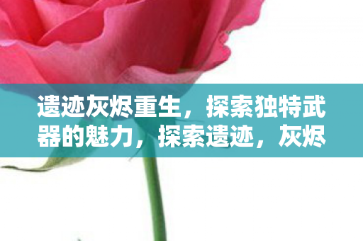 灰烬重生中独特武器的魅力图片