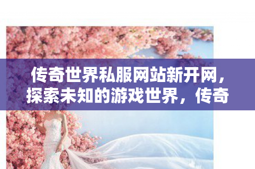传奇世界私服网站新开网图片