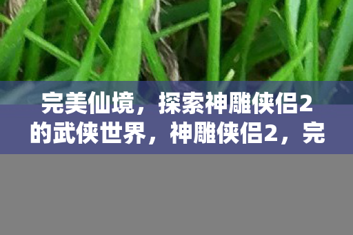 探索神雕侠侣2的武侠世界图片