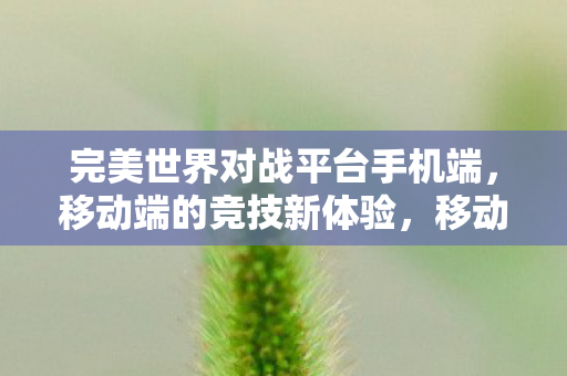 完美世界对战平台手机端图片