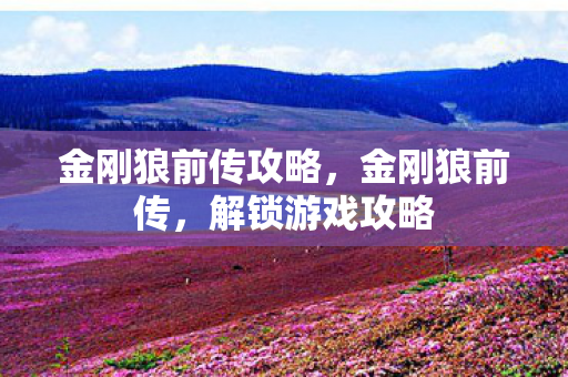 金刚狼前传攻略图片