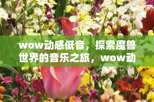 探索魔兽世界的音乐之旅图片