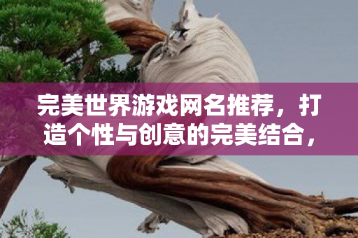 打造个性与创意的完美结合图片