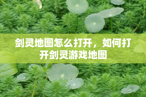 如何打开剑灵游戏地图图片