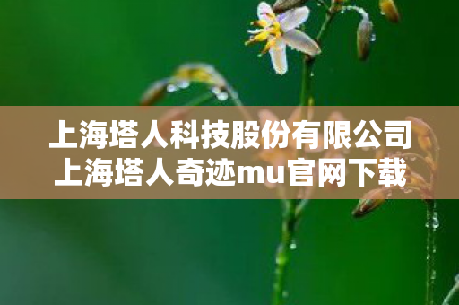 上海塔人科技股份有限公司上海塔人奇迹mu官网下载最新版图片