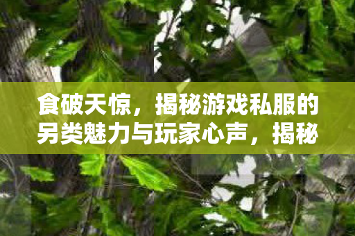 食破天惊，揭秘游戏私服的另类魅力与玩家心声，揭秘游戏私服，另类魅力与玩家心声
