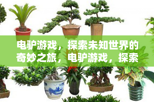 电驴游戏,探索未知世界的奇妙之旅,电驴游戏,探索未知世界的奇妙之旅 电驴游戏,探索未知世界的奇妙之旅,电驴游戏,探索未知世界的奇妙之旅