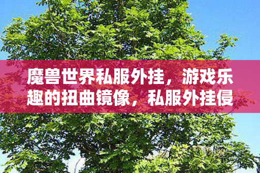 魔兽世界私服外挂，游戏乐趣的扭曲镜像，私服外挂侵蚀下的扭曲镜像，魔兽世界游戏乐趣的消逝