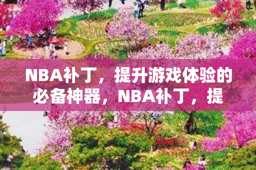 NBA补丁,提升游戏体验的必备神器,NBA补丁,提升游戏体验的必备利器 NBA补丁,提升游戏体验的必备神器,NBA补丁,提升游戏体验的必备利器