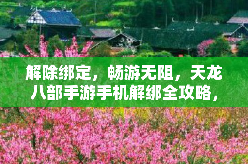天龙八部手游手机解绑全攻略图片