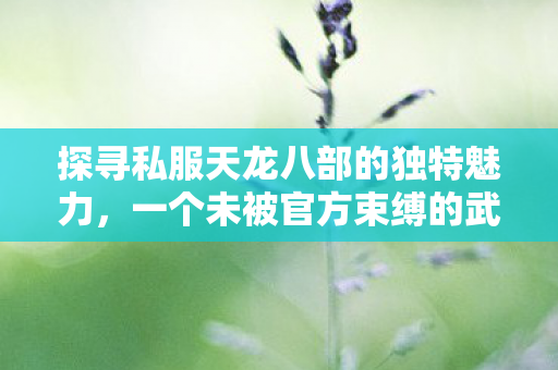 探寻私服天龙八部的独特魅力图片