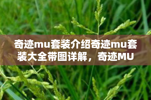 奇迹mu套装介绍奇迹mu套装大全带图详解图片