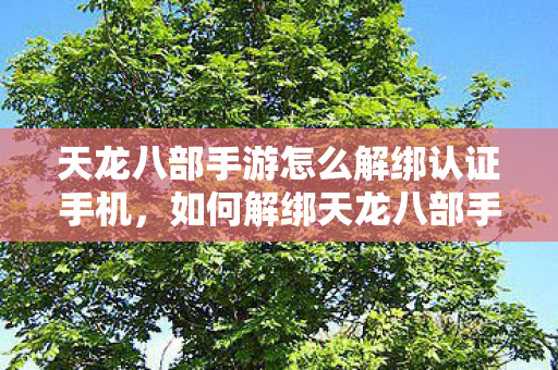 如何解绑天龙八部手游的认证手机图片