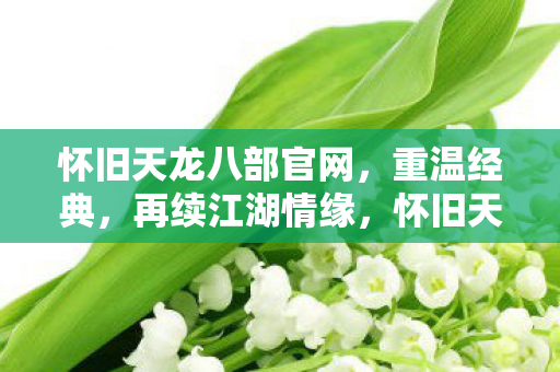 怀旧天龙八部官网图片