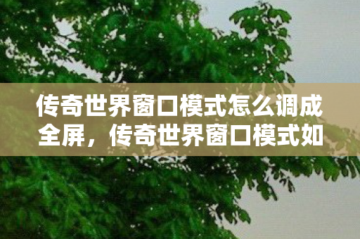 传奇世界窗口模式如何调整为全屏模式图片