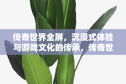 全屏沉浸式体验与游戏文化传承图片