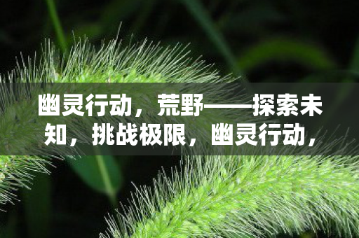 挑战极限的冒险之旅图片