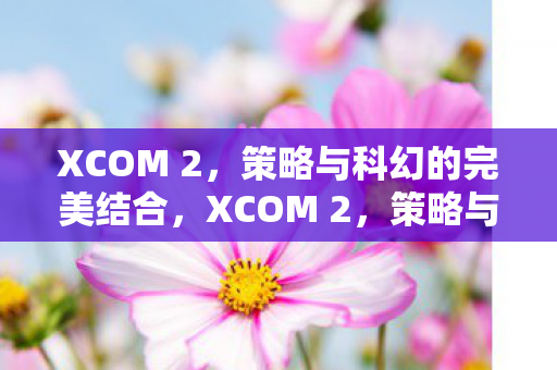 策略与科幻的完美结合图片