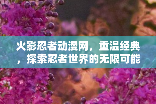 探索忍者世界的无限可能图片