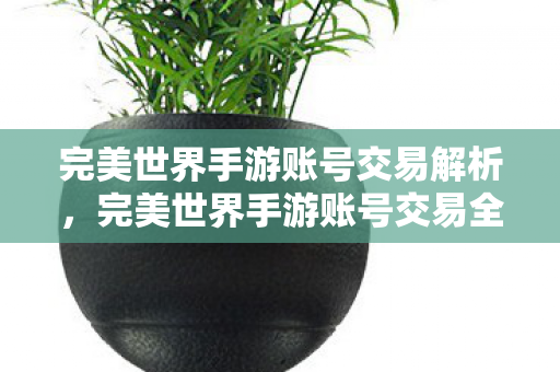 完美世界手游账号交易全解析图片
