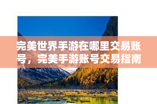 完美世界手游在哪里交易账号图片