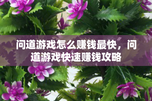 问道游戏怎么赚钱最快，问道游戏快速赚钱攻略