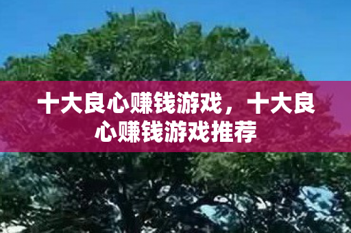十大良心赚钱游戏,十大良心赚钱游戏推荐 十大良心赚钱游戏,十大良心赚钱游戏推荐