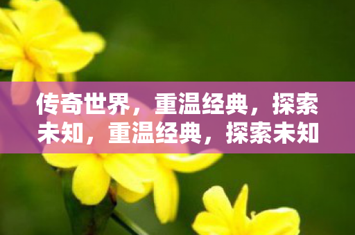传奇世界的奇幻之旅图片