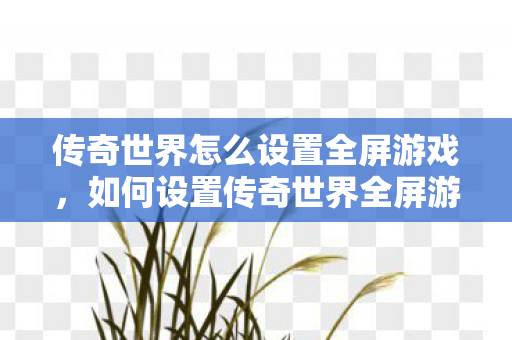 如何设置传奇世界全屏游戏模式图片