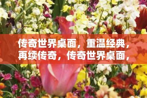 传奇世界桌面图片