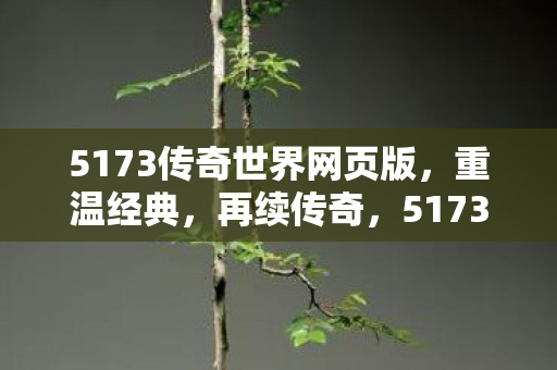 5173传奇世界网页版图片
