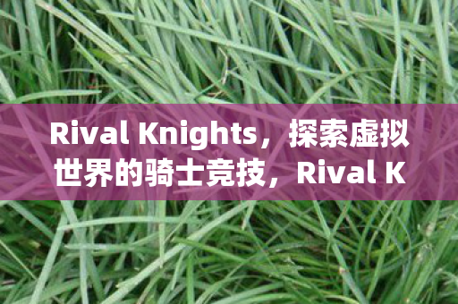 Rival Knights图片